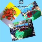 ????????????????????????????